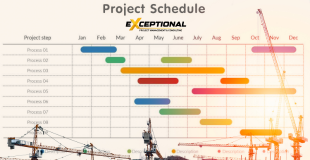 Controlled implementation of the project